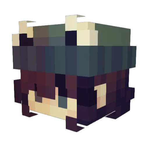 Heylsss Minecraft avatar head, 3D render