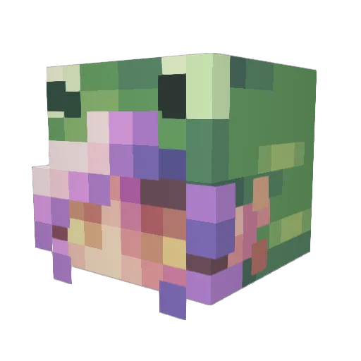 Heyoguys Minecraft avatar head, 3D render