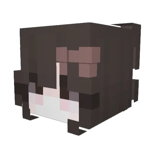 Heyum0 Minecraft avatar head, 3D render