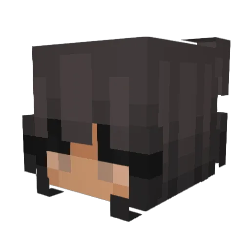 HeyyItzChels Minecraft avatar head, 3D render