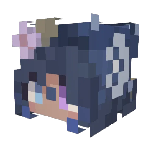 Heyyallitsnat Minecraft avatar head, 3D render