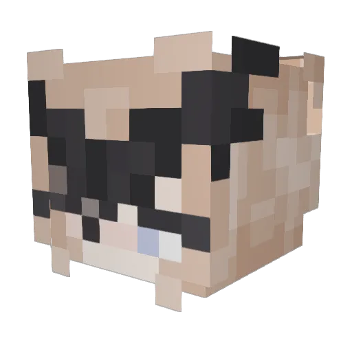 Hezboollah Minecraft avatar head, 3D render