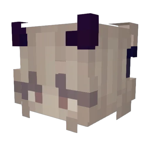 Hharrington1234 Minecraft avatar head, 3D render