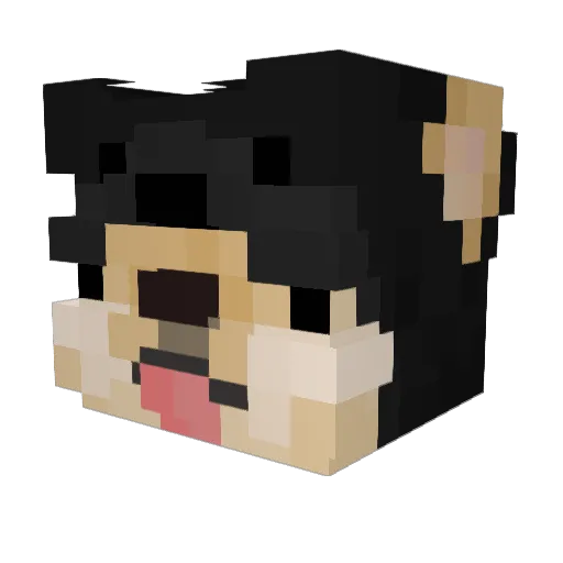 Hhyuga Minecraft avatar head, 3D render