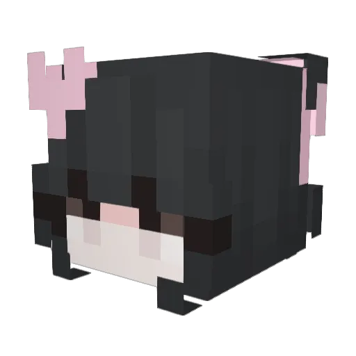 HiA509 Minecraft avatar head, 3D render