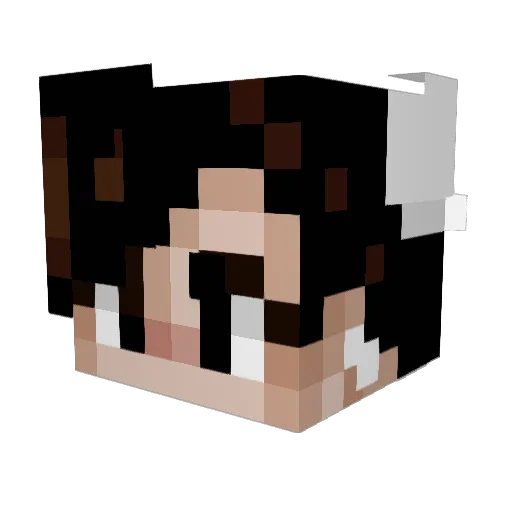 HiBlendin Minecraft avatar head, 3D render
