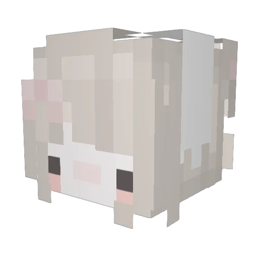 HiCisCool Minecraft avatar head, 3D render