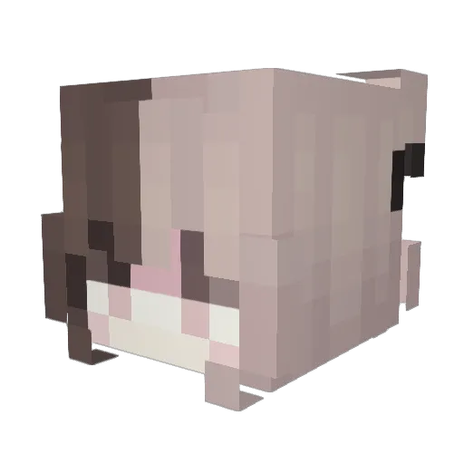 HiFenrir Minecraft avatar head, 3D render