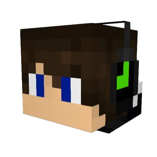 HiIIbillyKid1 Minecraft avatar head, 3D render