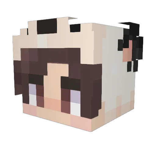 HiImGillette Minecraft avatar head, 3D render