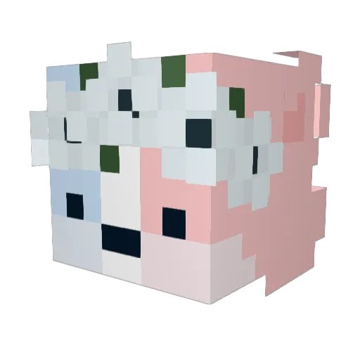 HiImJelly Minecraft avatar head, 3D render