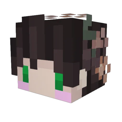 HiItsJoshua Minecraft avatar head, 3D render