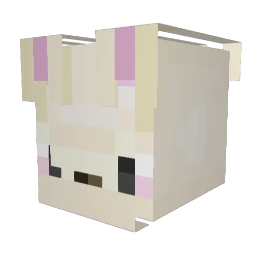 HiJammers12345 Minecraft avatar head, 3D render