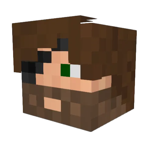 HiKyDum Minecraft avatar head, 3D render