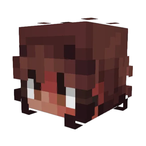 HiLumity Minecraft avatar head, 3D render