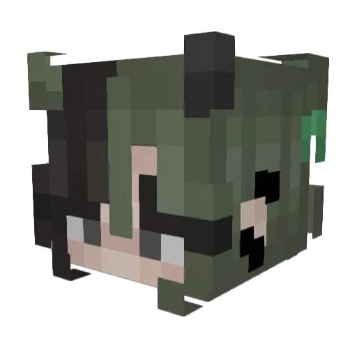 HiMyNameIsKay Minecraft avatar head, 3D render