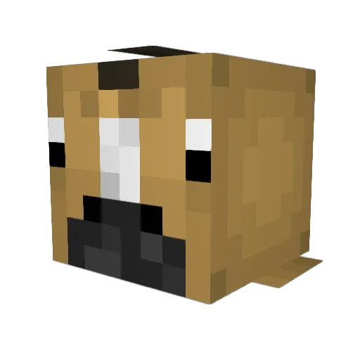 HiMyNameIsStef Minecraft avatar head, 3D render