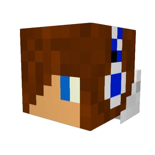 HiMyNameIsT Minecraft avatar head, 3D render