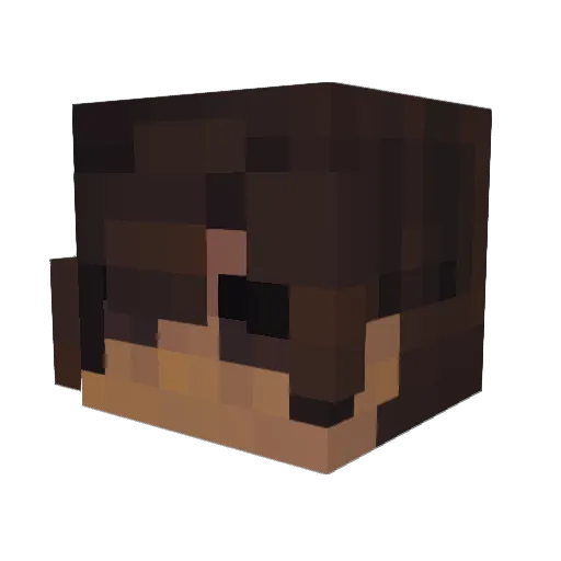 HiMyNamesAaron Minecraft avatar head, 3D render