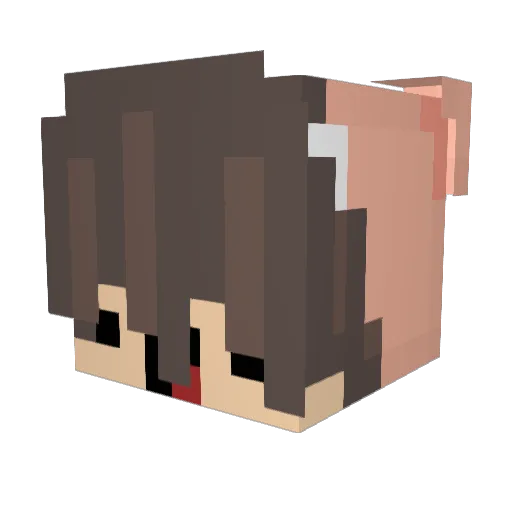 HiPoratoc Minecraft avatar head, 3D render