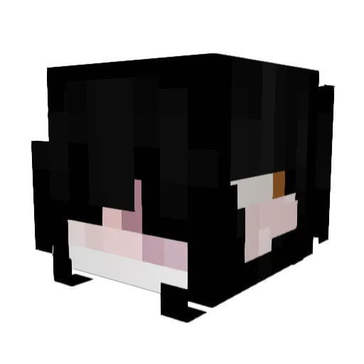 HiSoImLost Minecraft avatar head, 3D render
