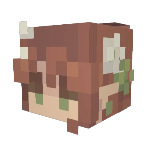 HiThere190 Minecraft avatar head, 3D render
