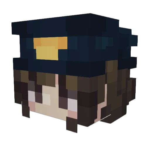 HiWelcome2Roxbot Minecraft avatar head, 3D render