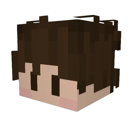 Hi_ImRei Minecraft avatar head, 3D render