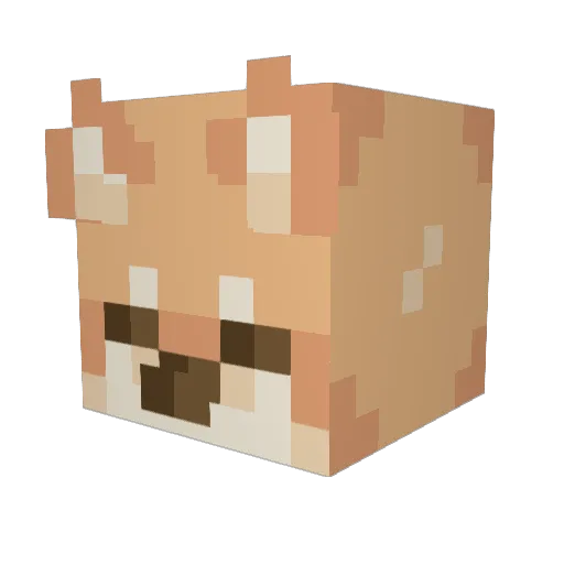 Hi_Im_Licious Minecraft avatar head, 3D render