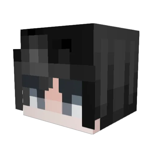 Hi_Im_Tyler Minecraft avatar head, 3D render