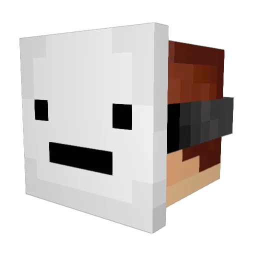 Hi_ThisIsTim Minecraft avatar head, 3D render