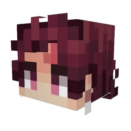 Hi_imcoolkidt Minecraft avatar head, 3D render