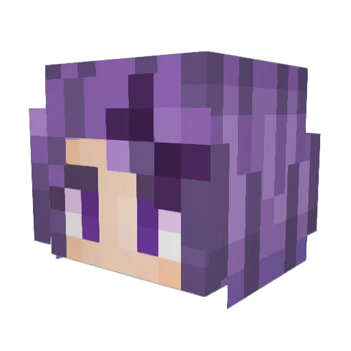 Hibby42 Minecraft avatar head, 3D render