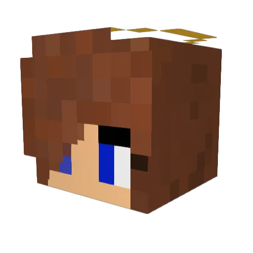 Hibernialeah Minecraft avatar head, 3D render