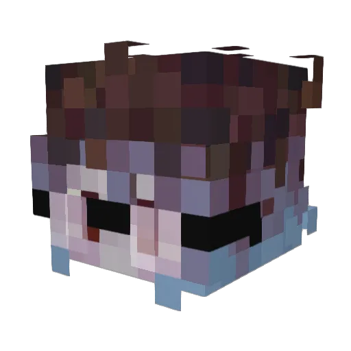 HibiscusTeaBag Minecraft avatar head, 3D render