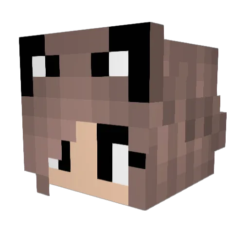 Hibiscuss Minecraft avatar head, 3D render