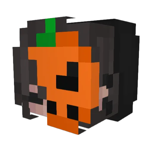HibouSoup Minecraft avatar head, 3D render