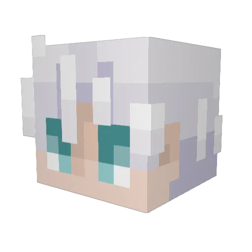 Hicar1896 Minecraft avatar head, 3D render
