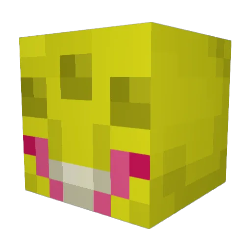 Hicassomac Minecraft avatar head, 3D render