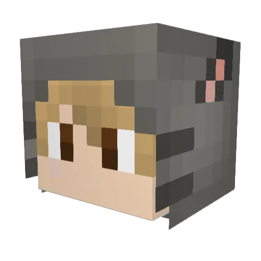 Hiccup1234 Minecraft avatar head, 3D render