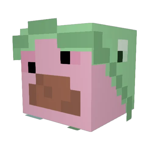 Hickan2000 Minecraft avatar head, 3D render