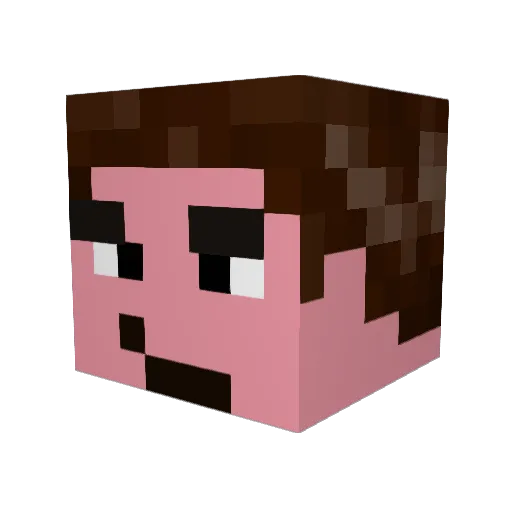 Hickel007 Minecraft avatar head, 3D render