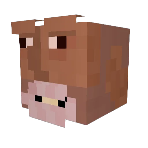 Hickmann Minecraft avatar head, 3D render