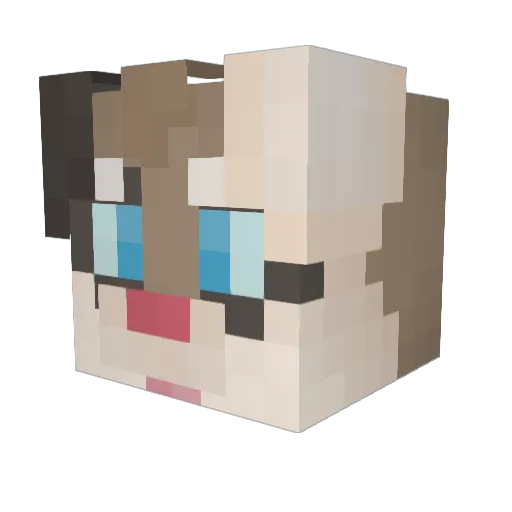 HickoryETC Minecraft avatar head, 3D render