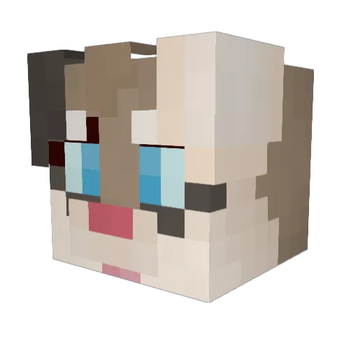 Hickory_ETC Minecraft avatar head, 3D render