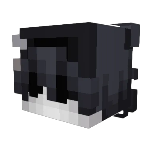 Hickslul Minecraft avatar head, 3D render