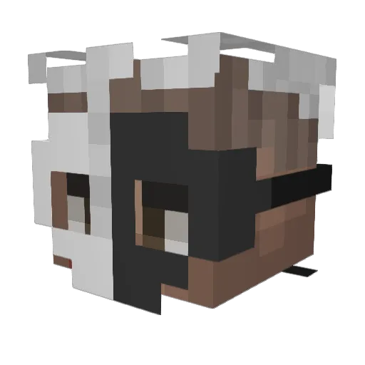 HidFabian Minecraft avatar head, 3D render