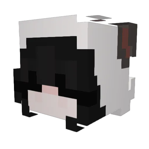 HidaomglGo77_ Minecraft avatar head, 3D render