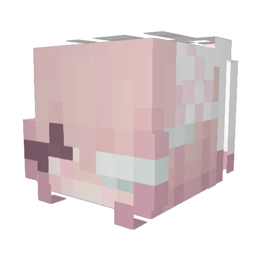 HiddenDoubleTime Minecraft avatar head, 3D render