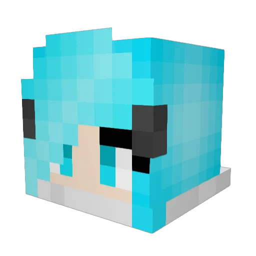 HiddenDragon225 Minecraft avatar head, 3D render